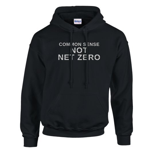 Common Sense Not Net Zero Hoodie, alternative view