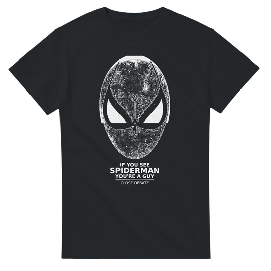 If You See Spiderman You're Gay, alternative view