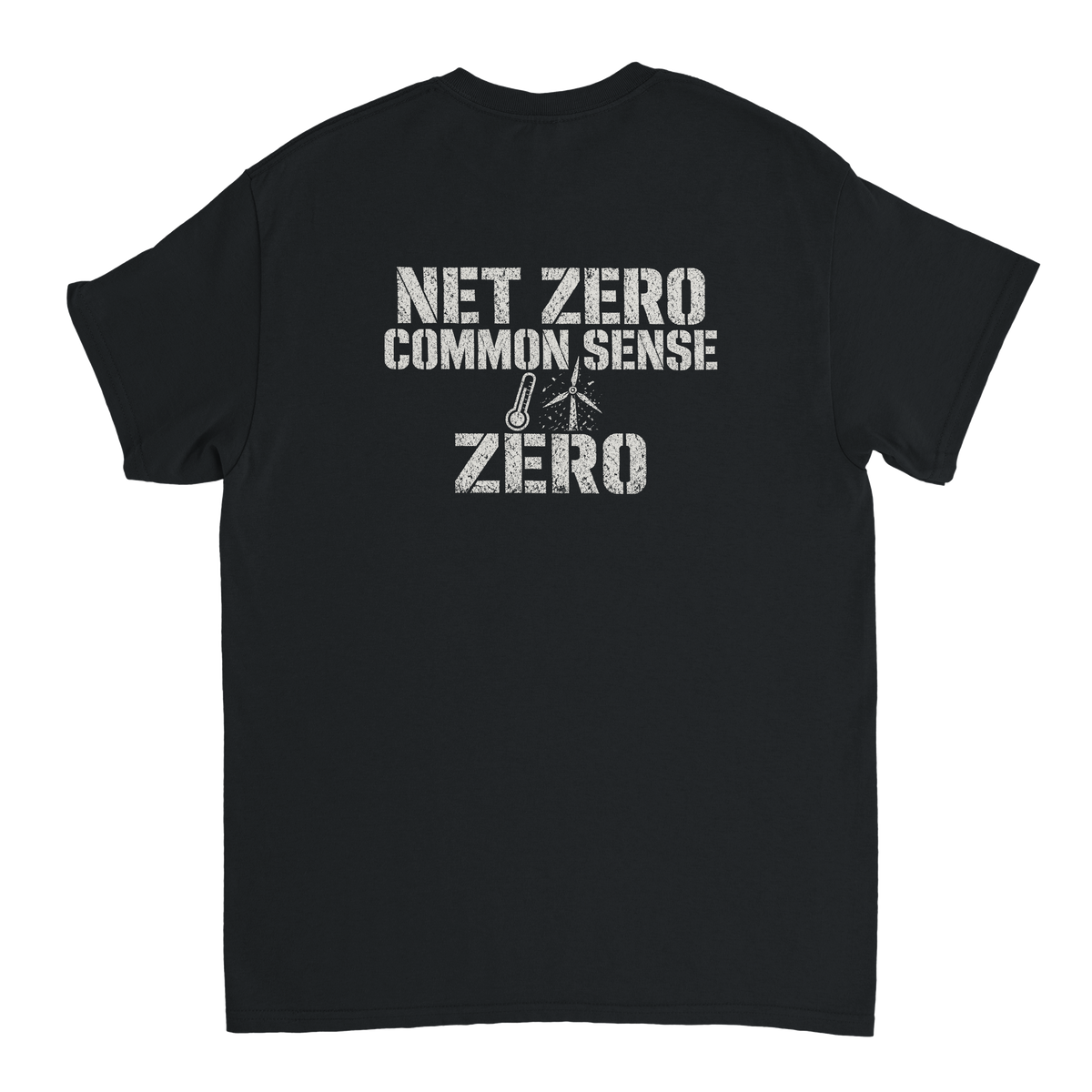 Net Zero Common Sense