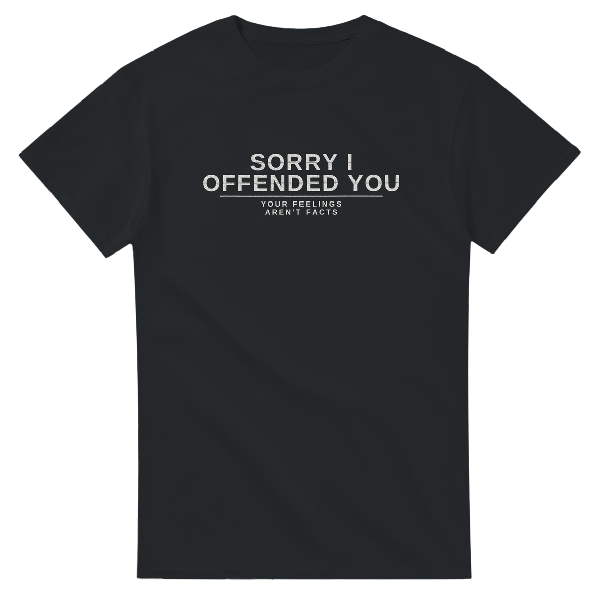 Sorry I Offended You