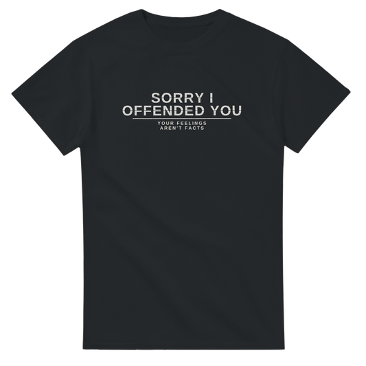 Sorry I Offended You, alternative view