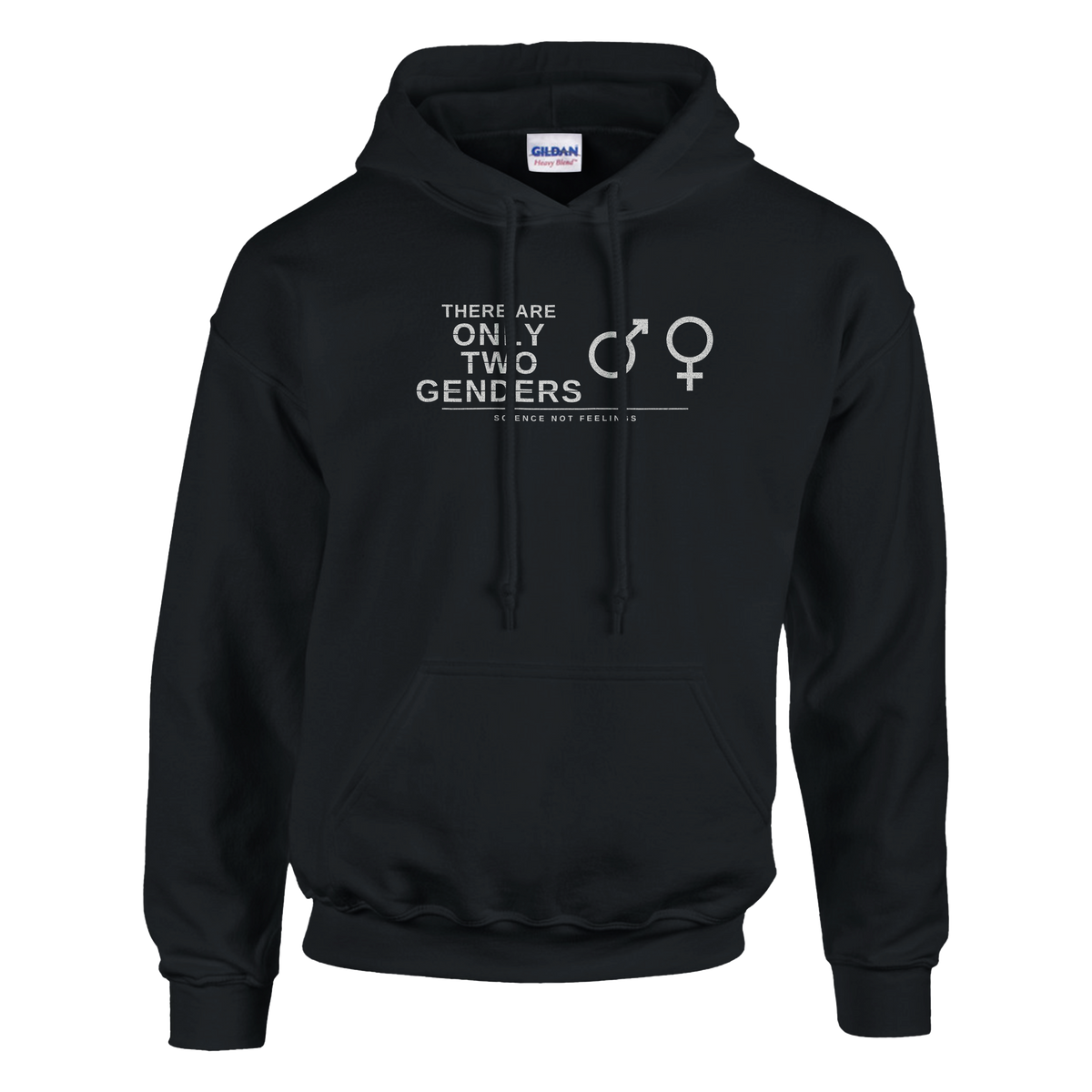 There Are Only Two Genders Hoodie – black hoodie, flat front