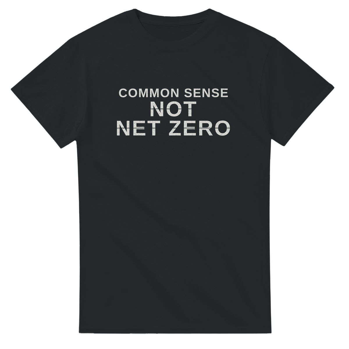 Common Sense Not Net Zero – black T-shirt, flat front