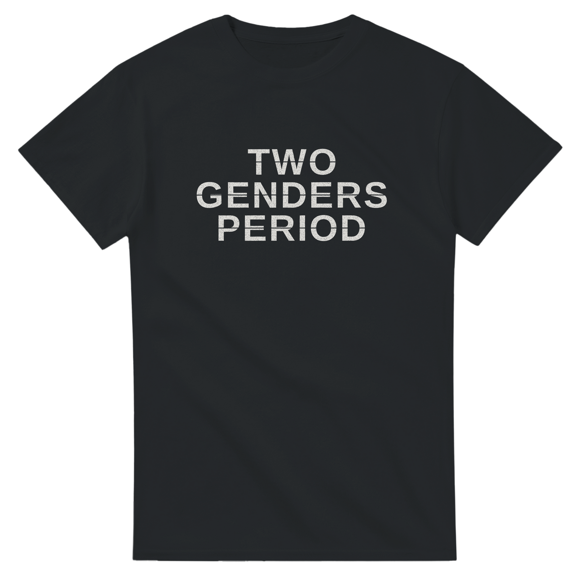 Two Genders. Period. – black T-shirt, flat front